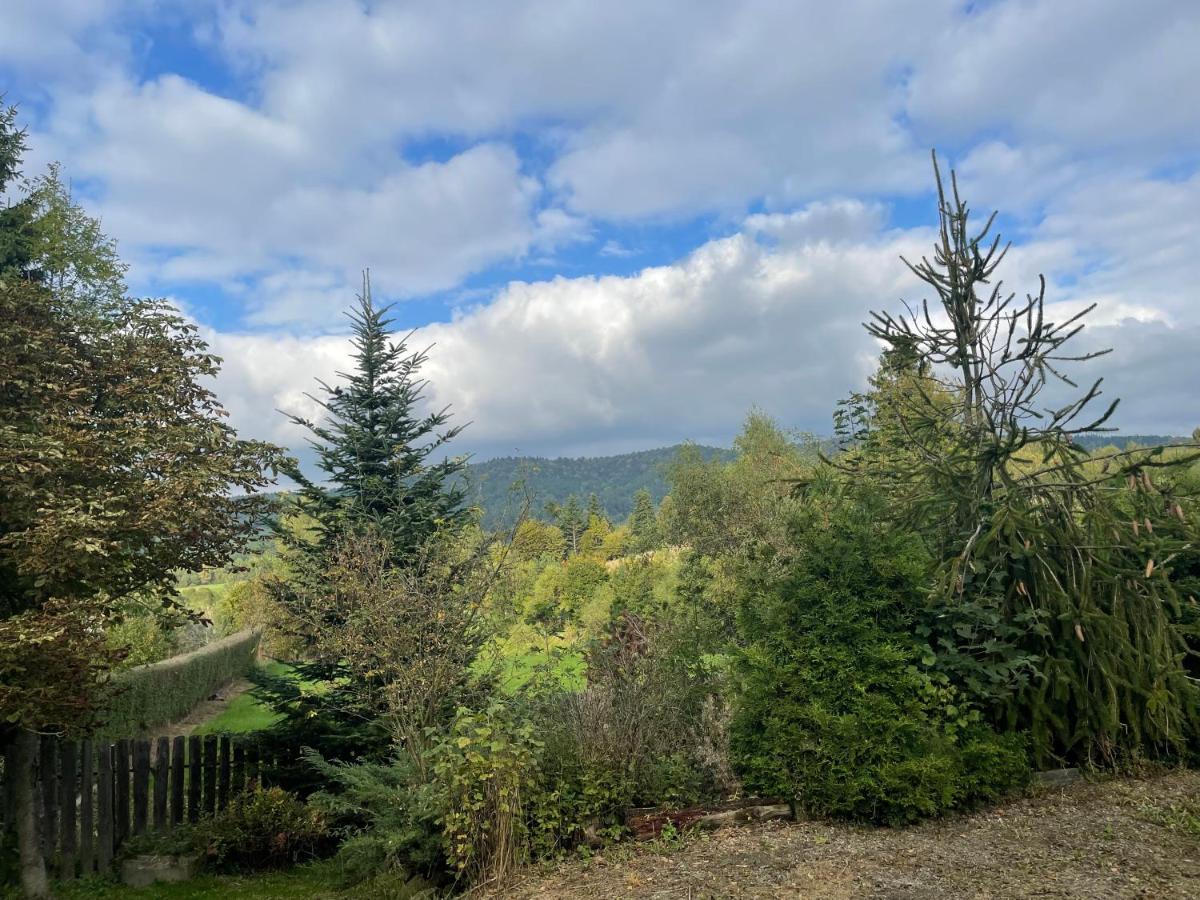 Sielska Chata Czarna  Bagian luar foto
